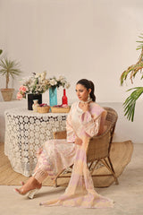 Dressline New Semi Stitched 3 Pcs Emb Viscose Zari Collection