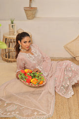 Dressline New Semi Stitched 3 Pcs Emb Viscose Zari Collection