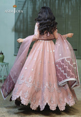 Asim Jofa Festive Jashn Ajfc-54 Embroidered Organza 3 Pcs