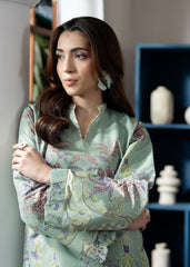 Meerak Co ords Stitched Summer Suit-Set 2