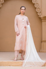 Urban Cut 3 Piece Embroidered Suit