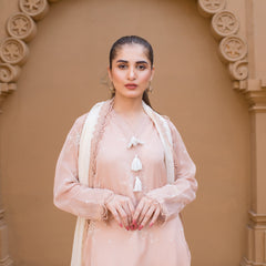 Urban Cut 3 Piece Embroidered Suit