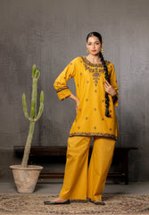 Abeera Exclusive Stitched 2 Piece Premium Cotton Suit-FC-06