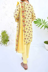 Amna Khadija Unstitched 3 Piece Wrinkle Free Prints Vol-18 Suit-1102-B