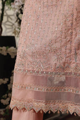 Dressline New Semi Stitched 3 Pcs Premium Dyed Lawn Fancy Full Chikankari With Sequence Emb Collection