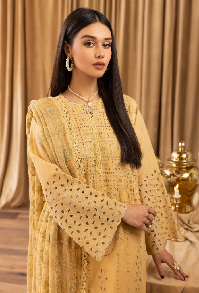 Elegant By Humdum Unstitched 3 Piece Chikankari Lawn Collection-D-02