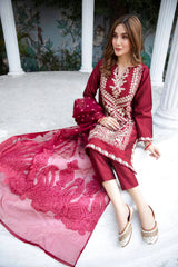 Panache Apparel Stitched Kurta Collection-Gulab