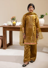 Rabt The Silk Edit Stitched 3 Piece Kids Formals Suit-Chaman