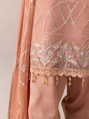 AURAPRET By Zebtan Stitched 3 Piece Luxury Formals Collection'2026-Aurapret-04 | 3 Piece Embroidered Organza Suit