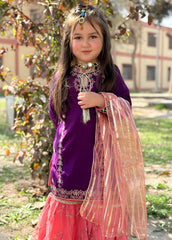 Eid Ki Khushiyan By Modest Stitched 3 Piece Formals Suit-Gulnoor - Purple