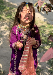 Eid Ki Khushiyan By Modest Stitched 3 Piece Formals Suit-Gulnoor - Purple