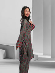 Ahlam Soft Cambric Stitched-Shadow co ord set Suit