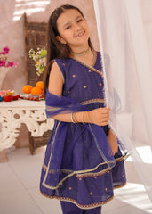 Modest Stitched 3 Piece Eid Edit Vol-02 Suit-10510-NBlu