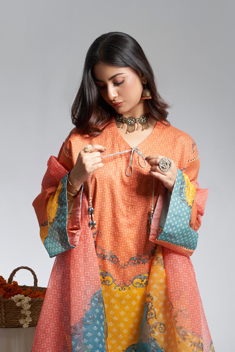 The Affordables By Mariam Malik Unstitched 3 Piece Digital Printed Lawn Collection'2025-Amber
