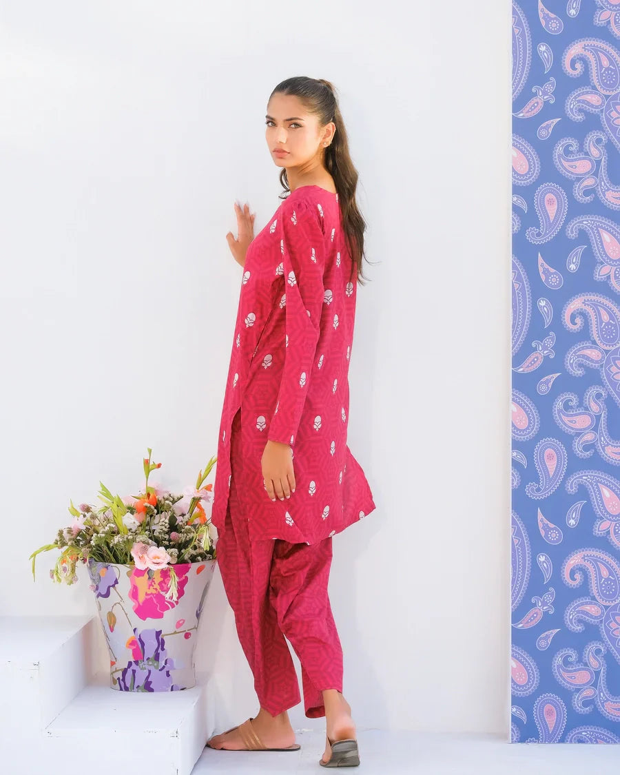 Dhaga Stitched 2 Piece Lawn Collection'2025-Matching separate 0024