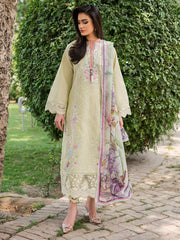 Wisteria by Roheenaz Unstitched 3 Piece Summer Lawn V-II Suit-25-B-Afsheen