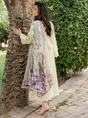 Wisteria by Roheenaz Unstitched 3 Piece Summer Lawn V-II Suit-25-B-Afsheen