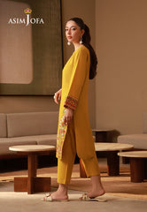 The Minimal Pret By Asim Jofa Stitched 2 Piece Cambric Collection-AJPB-177