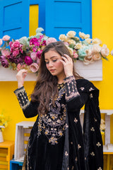 Panache Apparel Stitched Velvet Collection-Nureh