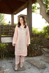 Panache Apparel Stitched Kurta Collection-Sophie