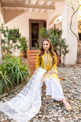Panache Apparel Stitched Collection-Astrella