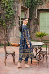 Raahi by Panache Apparel Stitched Collection-Ice