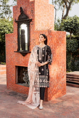 Raahi by Panache Apparel Stitched Collection-Crimson