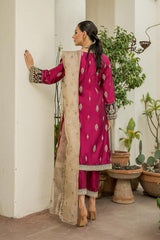 Raahi by Panache Apparel Stitched Collection-Zaaviay