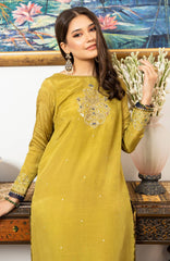 Joy Pret By Zaaviay Stitched Sabz Roshan (Kurti Only)
