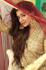 Pakistani Bridal Dresses 