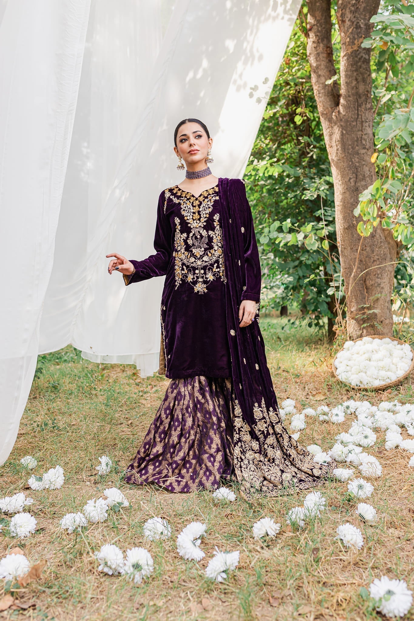 Panache Apparel Stitched Velvet Collection-Moor