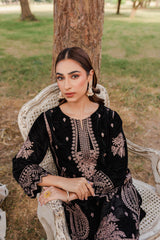 Panache Apparel Stitched Velvet Collection-Kiara