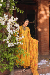 Panache Apparel Stitched Frock Collection-Rung