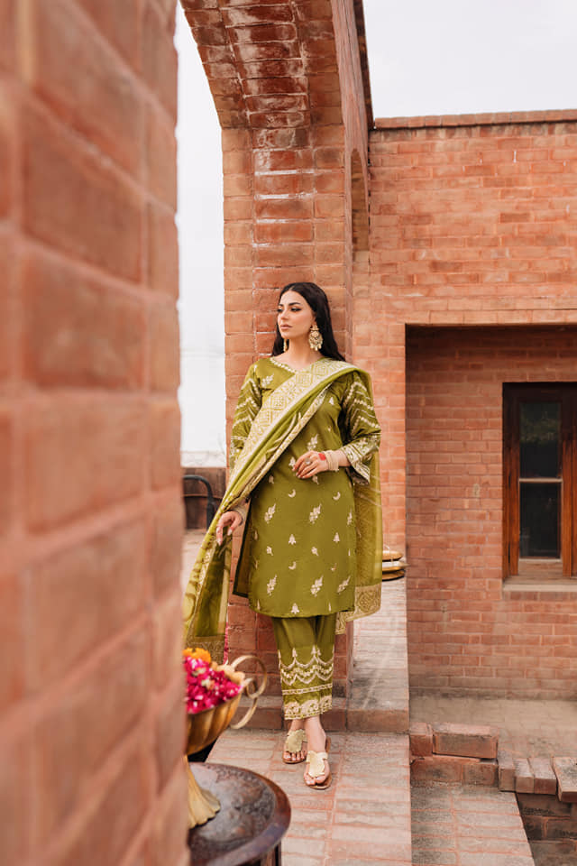 Raahi by Panache Apparel Stitched Collection-Sumbul