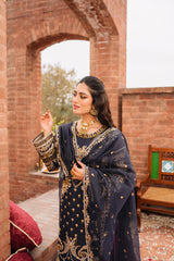 Raahi by Panache Apparel Stitched Collection-Amber