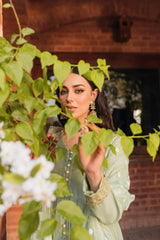 Raahi by Panache Apparel Stitched Collection-Surmayi