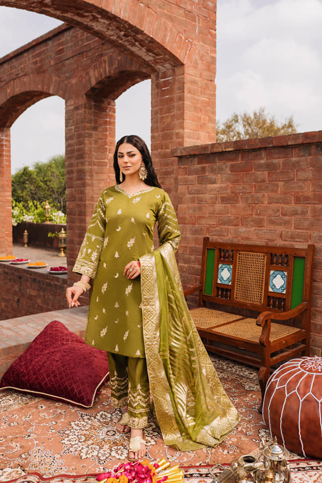 Raahi by Panache Apparel Stitched Collection-Sumbul