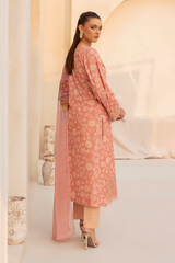 Daastan Edit 01 By Esra Stitched 3 Piece Emb Lawn Collection-DT-25-07