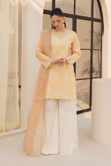 Daastan Edit 01 By Esra Stitched 3 Piece Emb Lawn Collection-DT-25-02