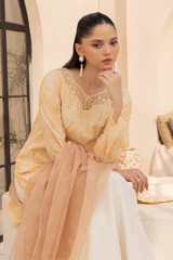 Daastan Edit 01 By Esra Stitched 3 Piece Emb Lawn Collection-DT-25-02