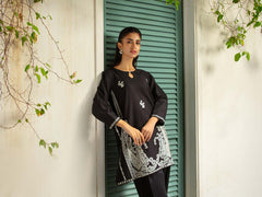 TNG Stitched 2 Piece Cotton Lawn Collection'2024-Noir (Black)