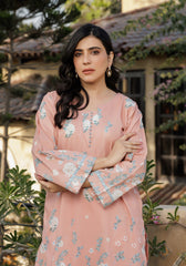 Zarasi.Pk Stitched 2 Piece Printed Lawn Collection'2025-Peach Whisper