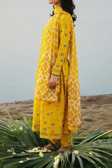 M Basics By Maria B Unstitched 3 Piece Emb Lawn Eid 2 Collection'2024-D-01-B