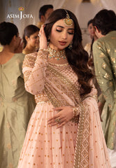 Asim Jofa Shehnai Festive Ajsh-15 Embroidered Net 3 Pcs