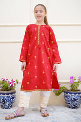 Rang e Eid Shanzey Stitched Jacquard Kurti Collection'2025-SHK-4211