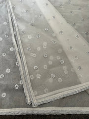 Deck Up Organza Dupatta - Silver