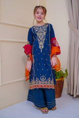 Nain Sukh By Shanzey Stitched 3 Piece Formals Collection'2025-SHK-4702