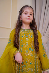 Nain Sukh By Shanzey Stitched 3 Piece Formals Collection'2025-SHK-4703