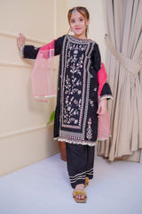 Nain Sukh By Shanzey Stitched 3 Piece Formals Collection'2025-SHK-4704