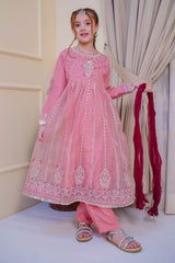 Nain Sukh By Shanzey Stitched 3 Piece Formals Collection'2025-SHK-4705